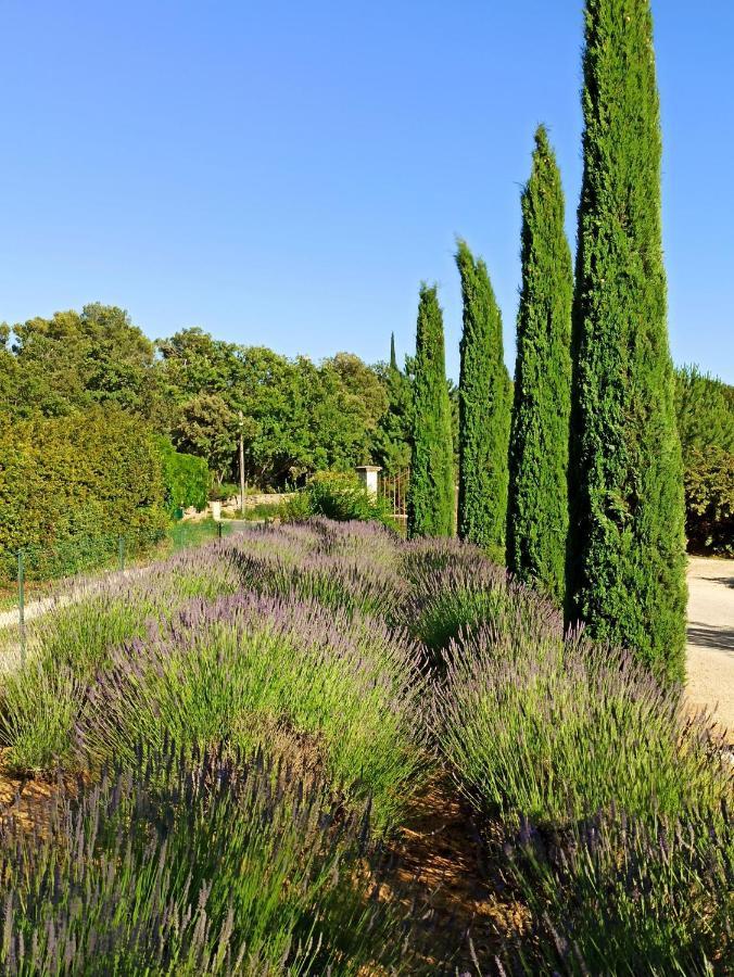 Rognes La Bastide De Cocagne B&B 외부 사진